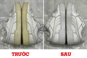 Tẩy ố đế Puma