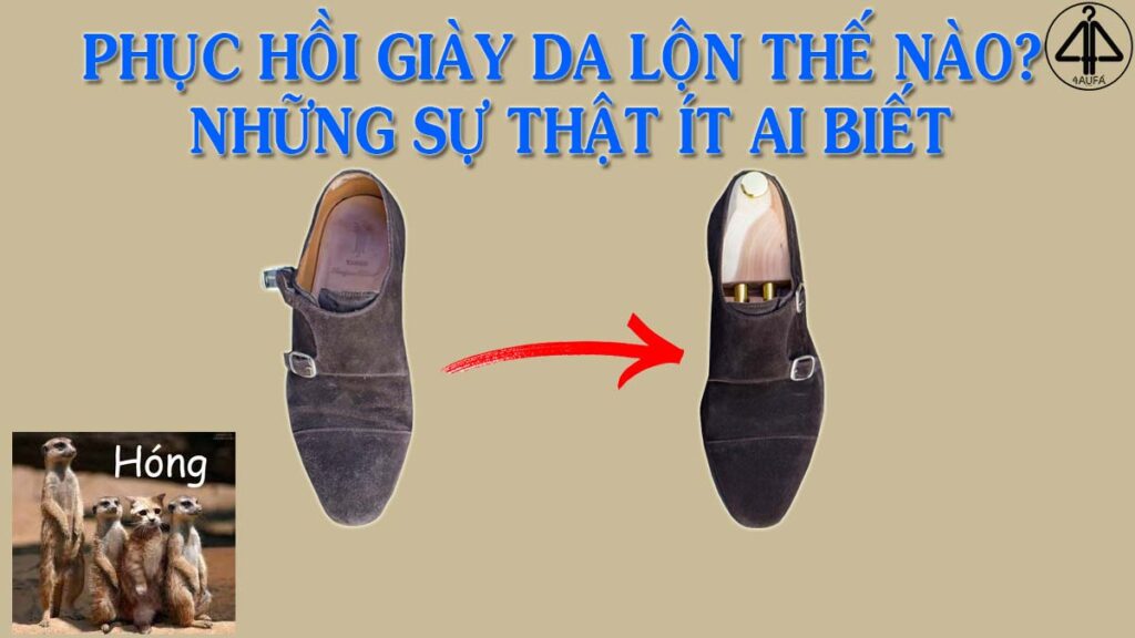 Phục hồi giày da lộn ở đâu