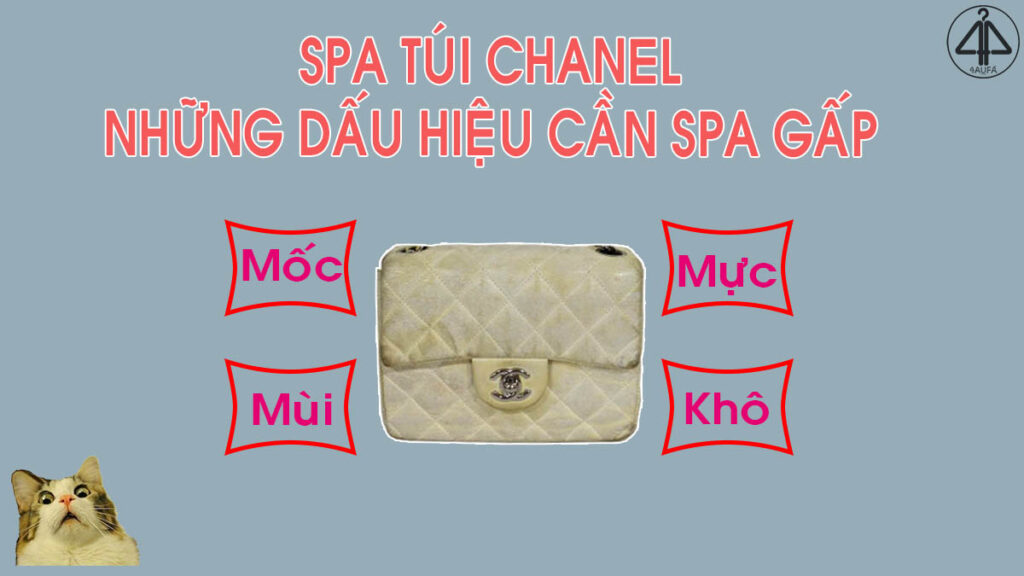 SPA túi Chanel ở đâu