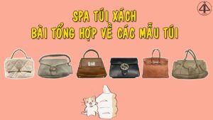 SPA túi xách bài kinh nghiệm tổng hợp